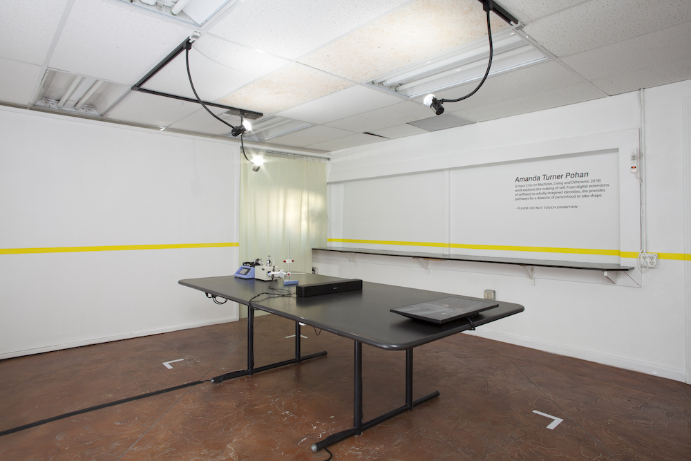 Install view of Amanda Turner Pohan's Linqox Criss on Machines, Living and Otherwise